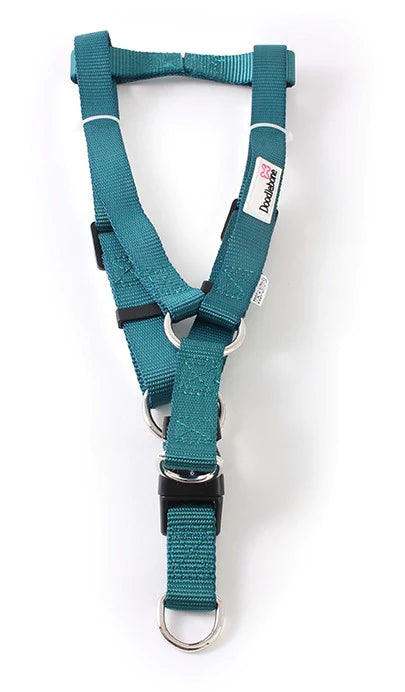 Doodlebone Bold Harness Teal XL