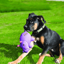 Load image into Gallery viewer, black-dog-with-kong-purple-phatz-rhino-dog-toy.
