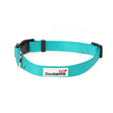 Load image into Gallery viewer, Doodlebone Collar Teal M
