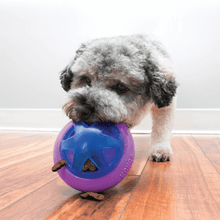 Load image into Gallery viewer, dog-and-KONG-Hopz-Ball-Large
