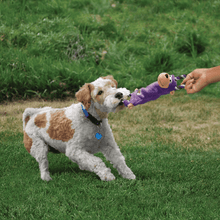 Load image into Gallery viewer, dog-play-tug-with-kong-tugger-knots-monkey-purple-dog-toy
