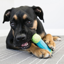 Load image into Gallery viewer, dog-playing-with-blue-and-green-corestrength-dog-toy
