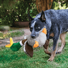 Load image into Gallery viewer, dog-playing-with-kong-shakers-honkers-turkey-dog-toy
