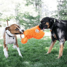Load image into Gallery viewer, dog-playing-with-orange-kong-tuggz-monkey-dog-toy
