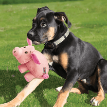 Load image into Gallery viewer, dog-playing-with-pink-pig-toy.
