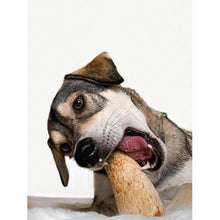 Load image into Gallery viewer, dog-with-lamb-marrow
