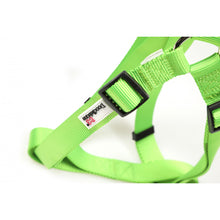 Load image into Gallery viewer, Doodlebone Bold Harness Apple Green XS
