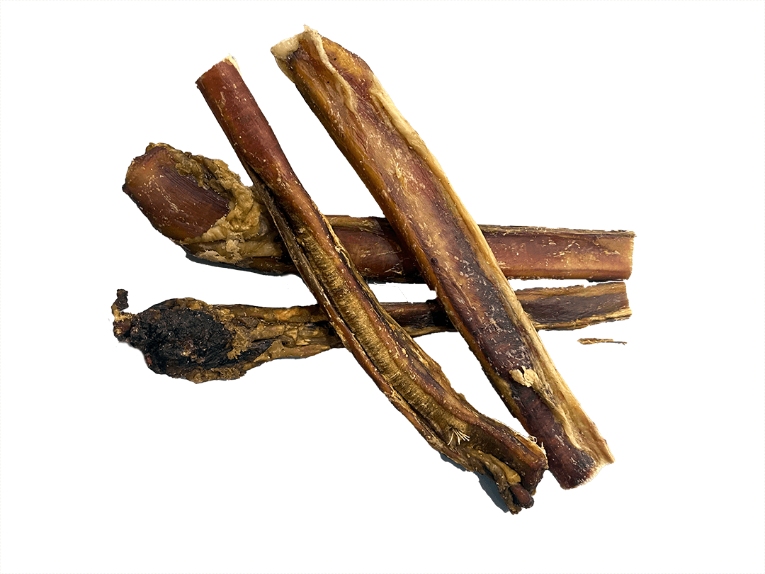 Hollings 2024 pizzle sticks