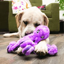Load image into Gallery viewer, white-dog-with-pink-octopus-dog-toy
